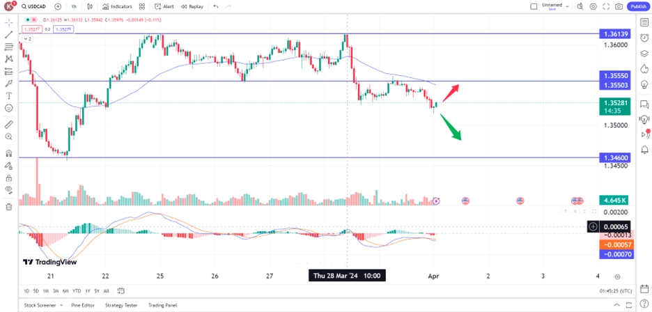 cad040124 – PU Prime | More Than Trading loonie rises on bright economic outlook trading opportunities 1 April 2024